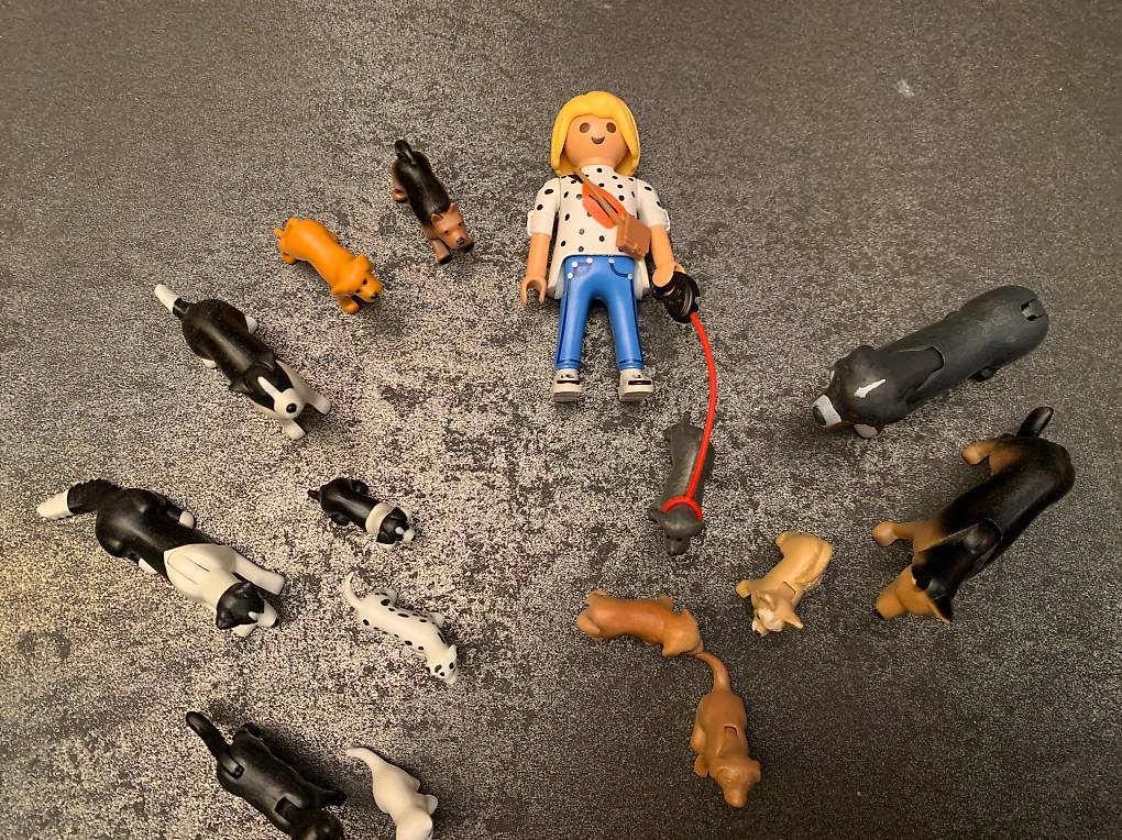 PLAYMOBIL 6950 Spaziergang Mit Pony – Spielset Mit Reitlehrerin, Mädchen & Apfelschimmel Pony