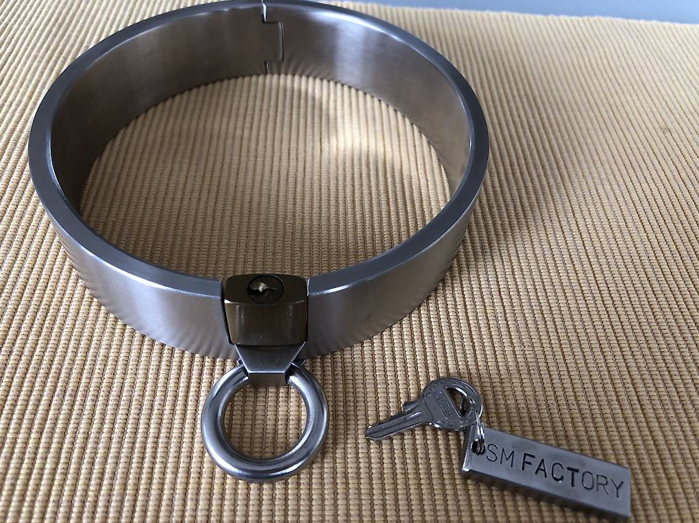 SM Factory Edelstahl Halsband im Kanton Thurgau - tutti.ch