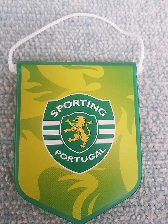 Fanion foot wimpel pennant banderin FC PORTO FCP Envoi GRATUIT FREE Fanion foot wimpel pennant banderin FC PORTO FCP Envoi GRATUIT FREE