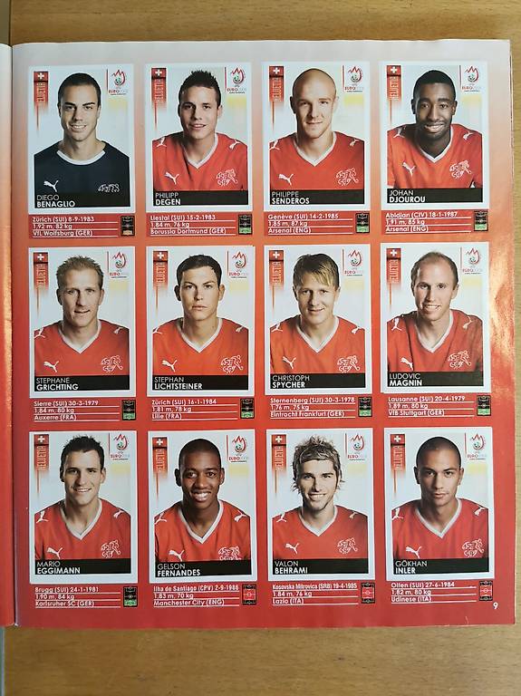Panini Euro 2008 – Album collector complet (Bon état