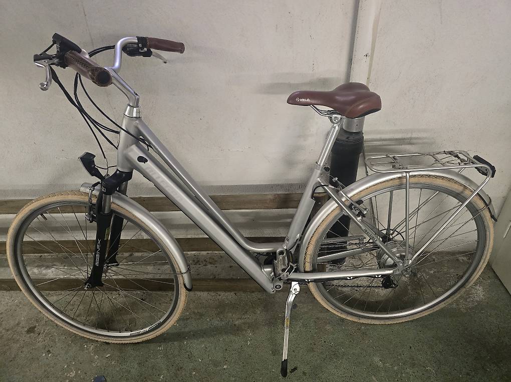 hund und kind fahrradanhänger Hunde bis 40KG Hundebuggy Active ONE 2in1 Hundeanhänger Gefedert für Fahrrad Haustier Farbe:grau (GUNMETAL GREY) Schubladeneinsätze Ghost E-RIOT CF ADVANCED