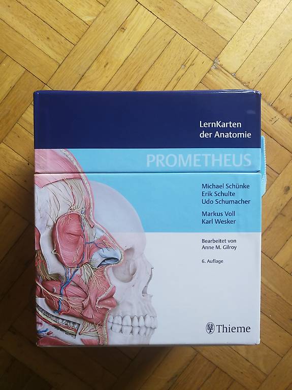 Anatomie Lernkarten Prometheus Tutti Ch