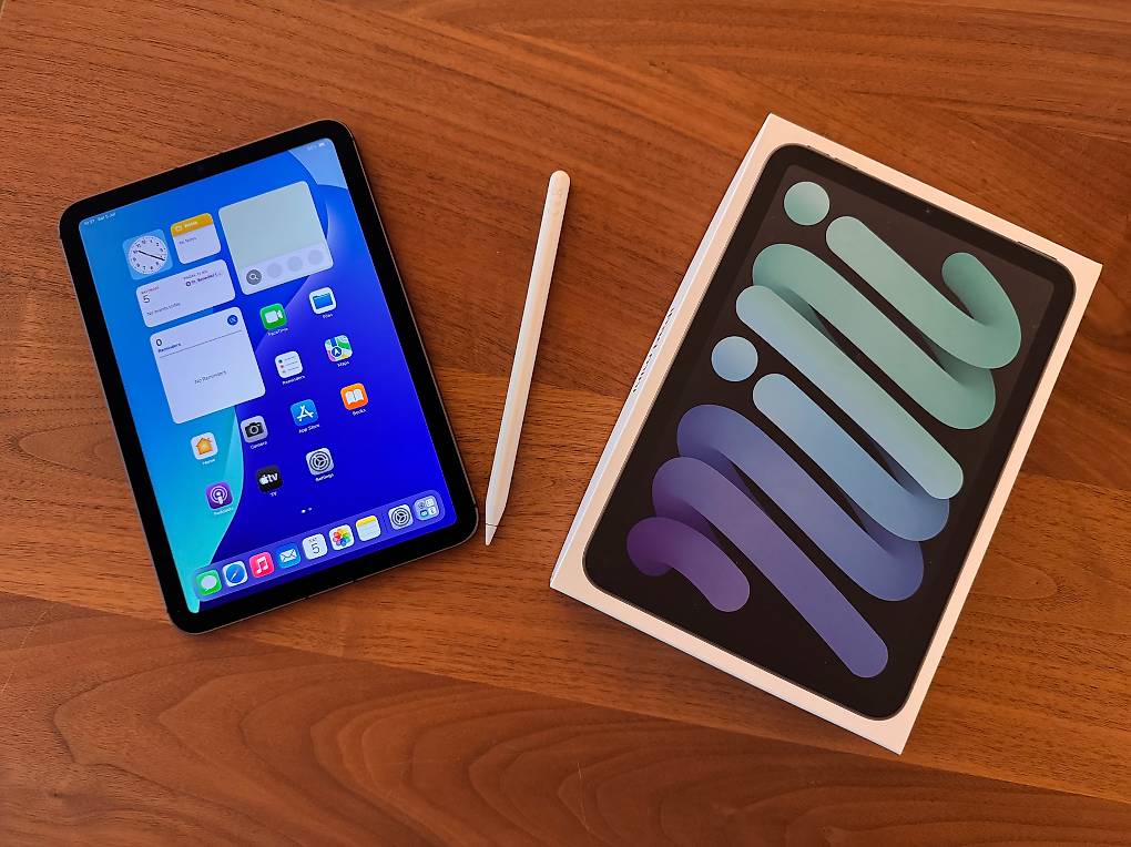 iPad Mini 6 256GB WiFi+Cellular & Apple Pencil im Kanton