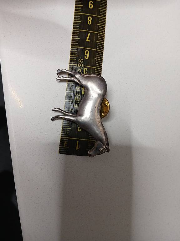 Pentacolo Corvo 925 Pendente Argento Sterling Fine Animale Totem