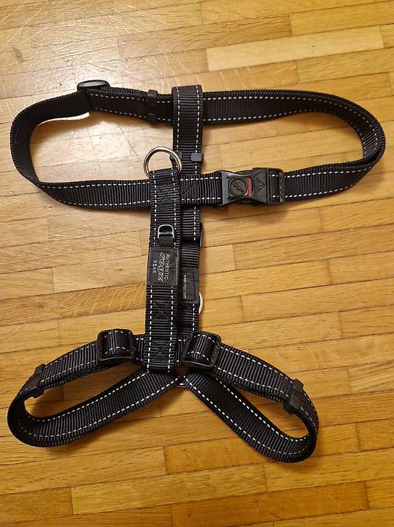 halsband dackel Hundehalsband - Lederhalsband Dackel / Teckel / Dachshund main image 0