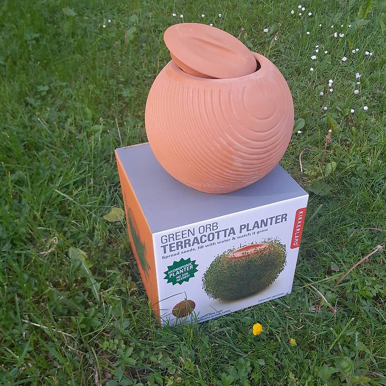 Kikkerland Terracotta Planter Green Orb im Kanton Bern tutti.ch
