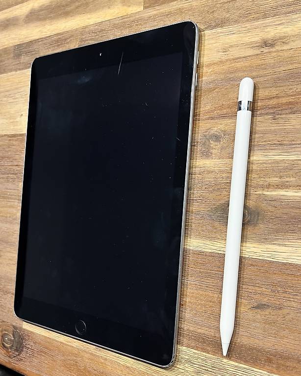 iPad Mini 6 256GB WiFi+Cellular & Apple Pencil im Kanton Zürich