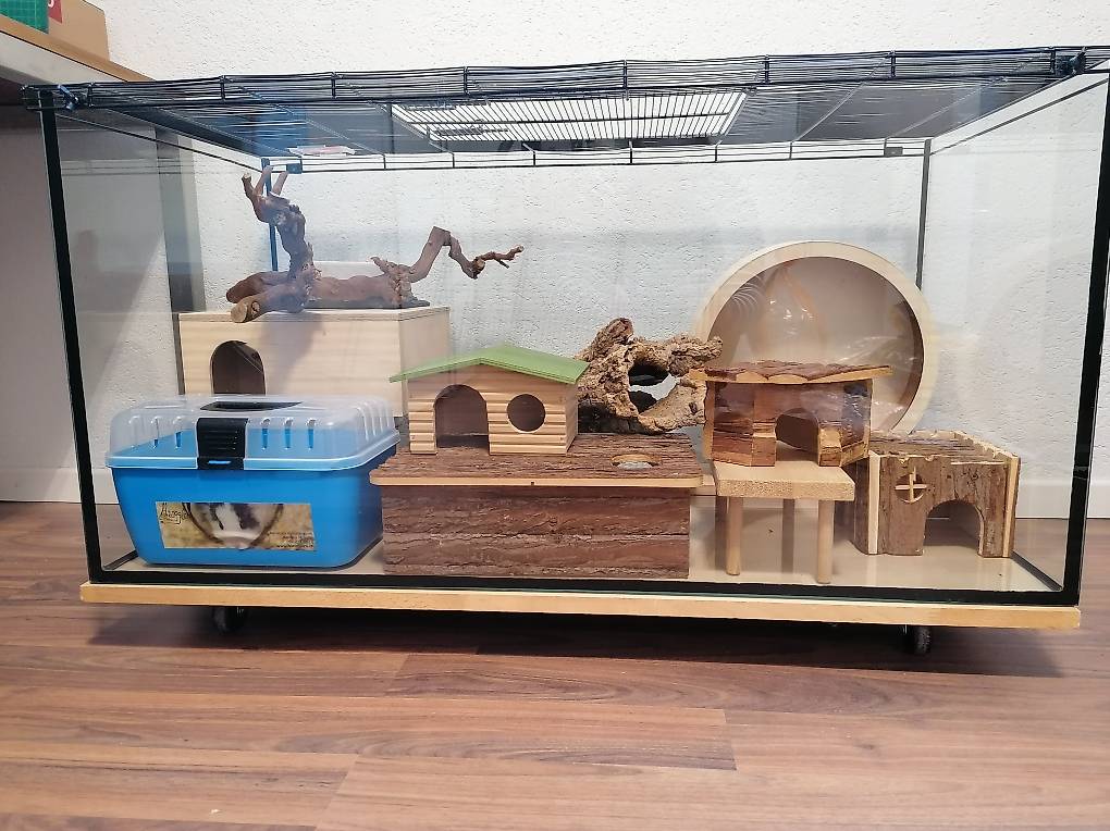 Hamster Terarium mit on sale Zubehör