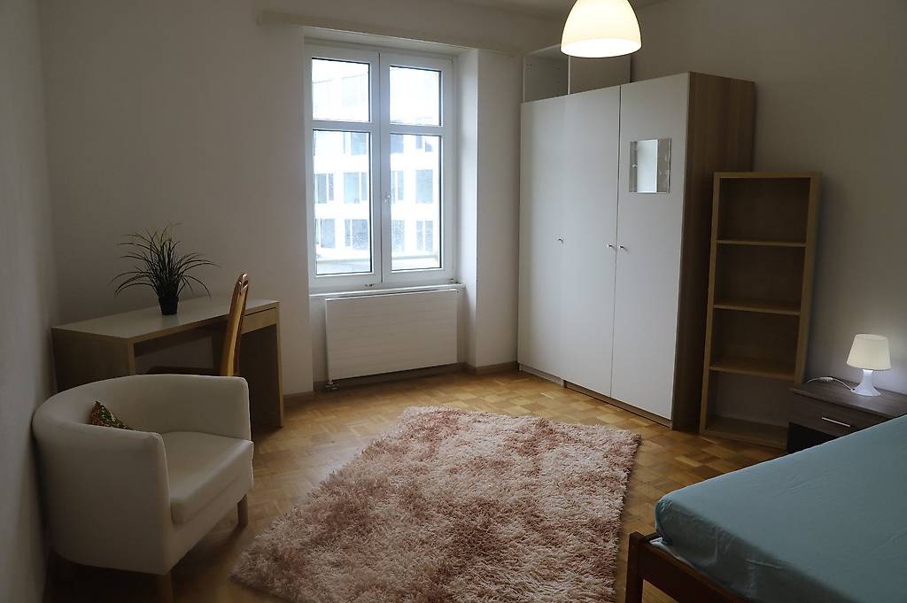 Ab sofort sehr grosses neues möbliertes WG-Zimmer
