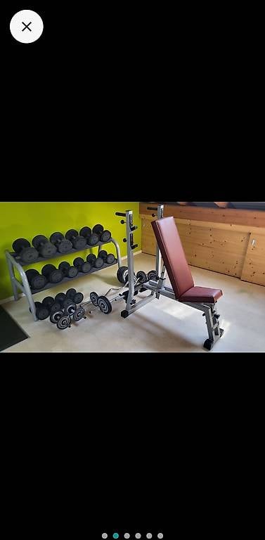 Hantelbank Technogym mit vielen Gewichten