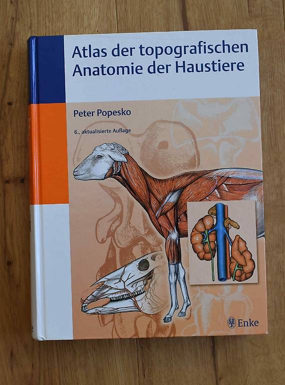 Atlas Der Topografischen Anatomie Der Haustiere Im Kanton Bern - Tutti.ch