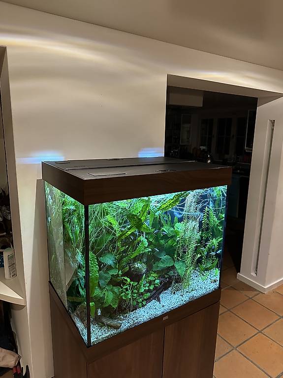 Aquarium Saule 200 Liter