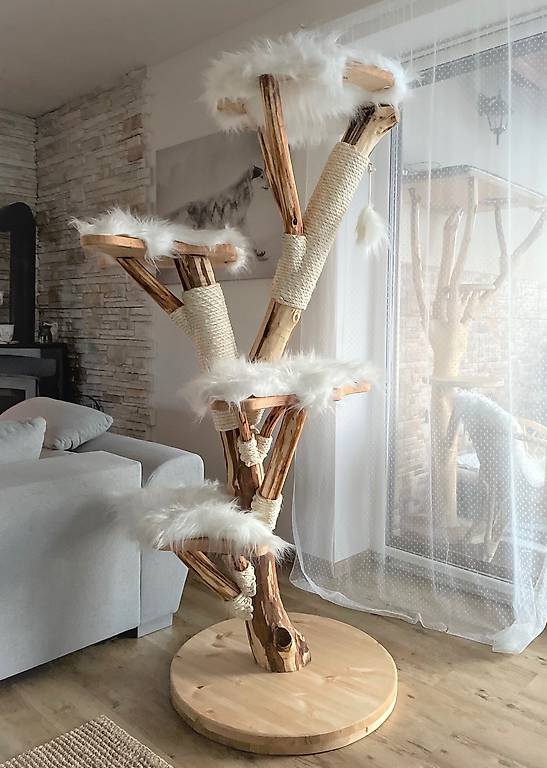 Immagine vuota