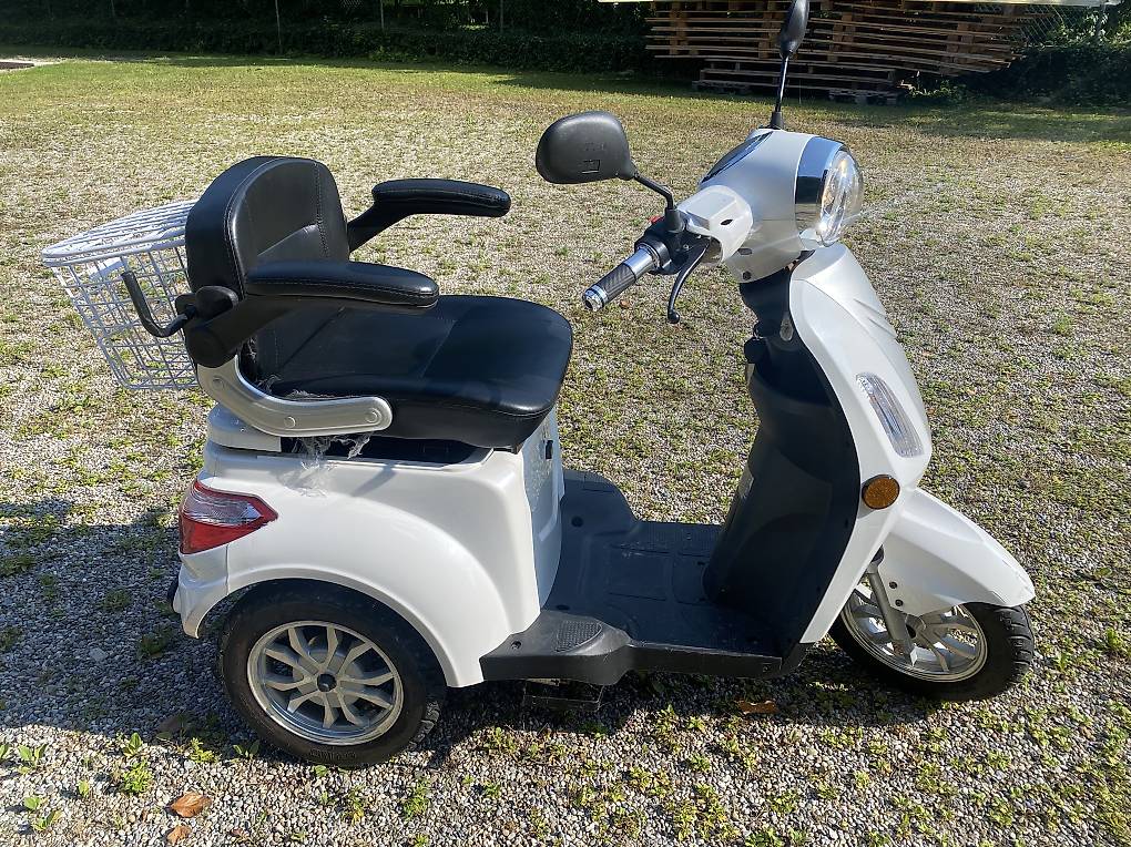 Elektro-Dreirad ZT-15D Trilux+ | 25 km/h | Rückwärtsgang im Kanton ...
