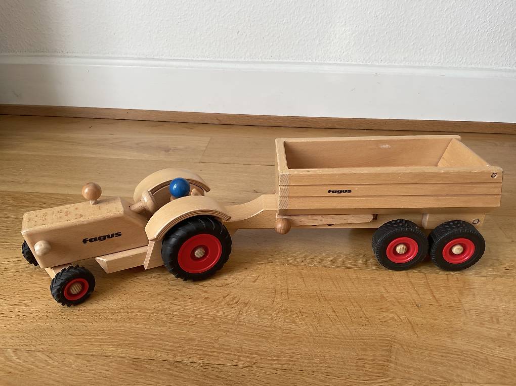 Autotransporter Fagus Holz im Kanton Bern - tutti.ch