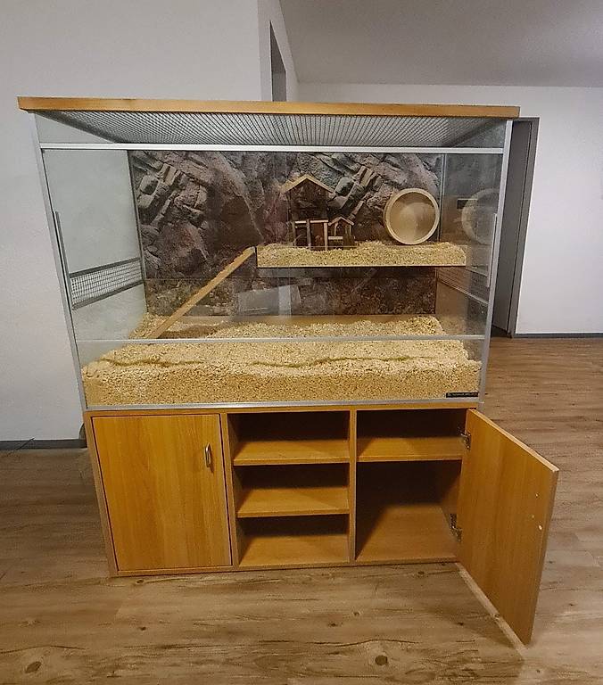 Hamster Terarium mit on sale Zubehör