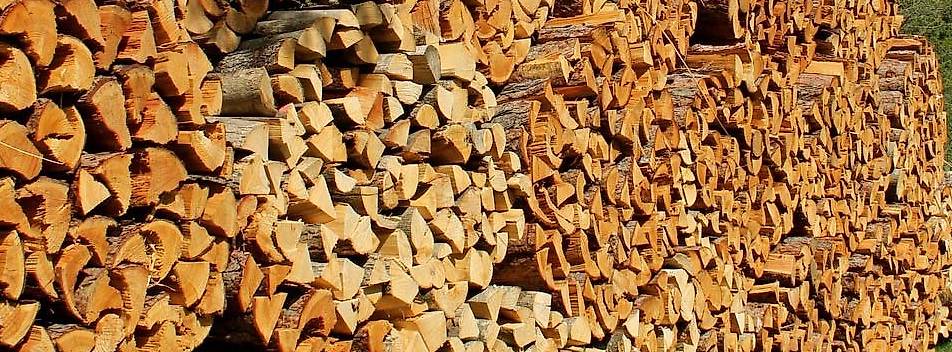 Legna Da Ardere Ecoblaze - Tronchi Di Quercia Essiccati Al Forno, 50L, Per Camino, Forno Pizza E Fuoco All'aperto