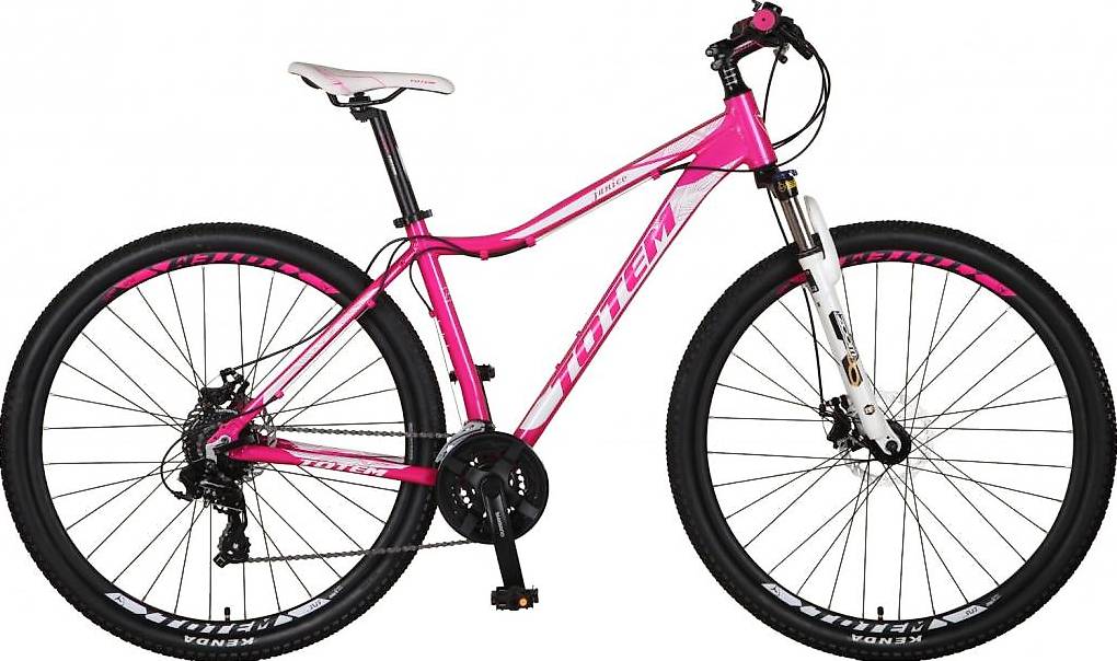 (Preis-Nachlass) - Mountainbike 29 Zoll JANICE