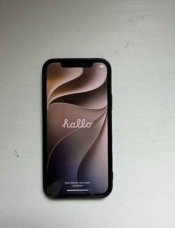 iPhone 12 Pro 256 GB Hervorragender Zustand 
