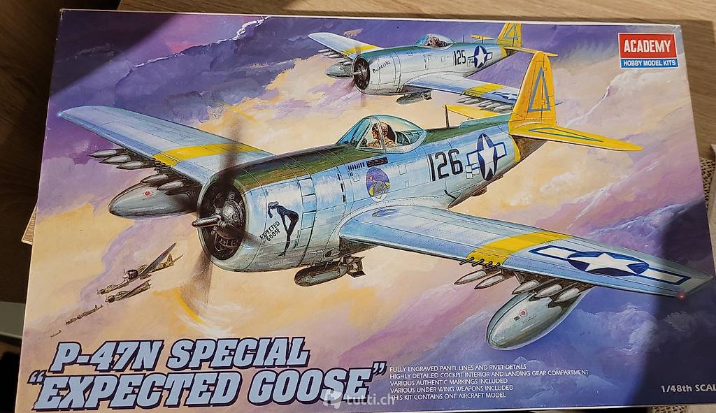 Flieger ww2 P-47 Modellbausatz 1/48