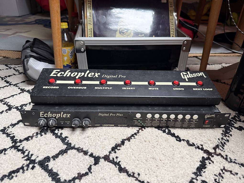 Gibson Echoplex im Kanton Basel-Stadt