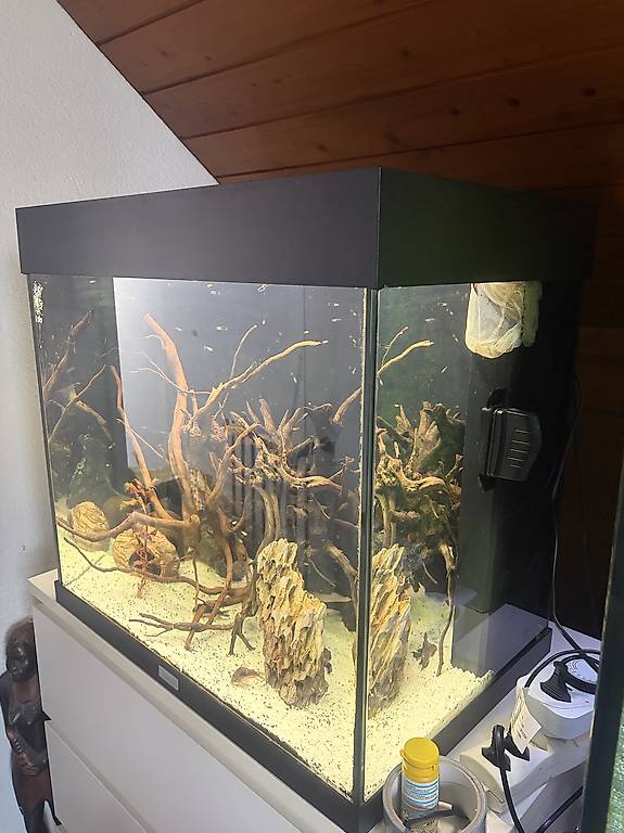 Juwel 120 im Kanton Aargau