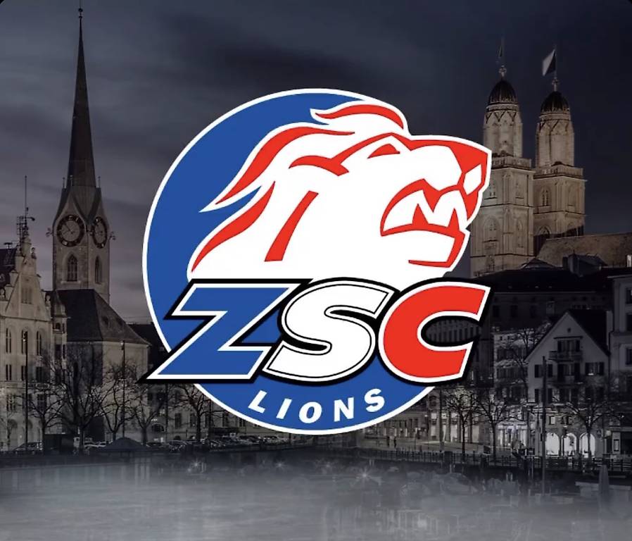 ZSC Lions HC Lugano, 12 Tickets, Zürich, 23.11.2024 im Kanton