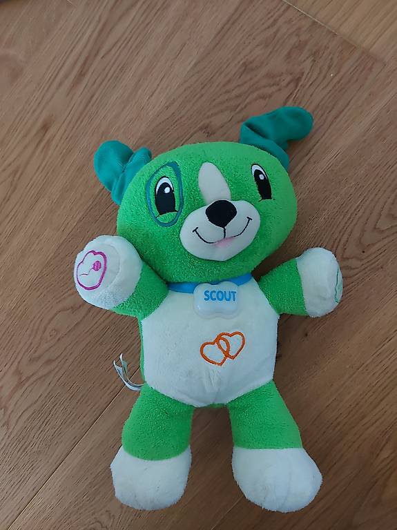 Leap Frog Scout Cantone Zurigo