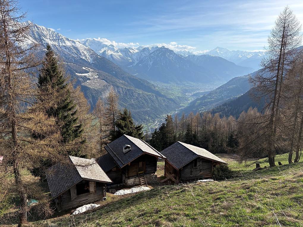 SCHLAFEN IM DUFTENDEN BERGHEU NATUR PUR IM ALETSCHGEBIET"