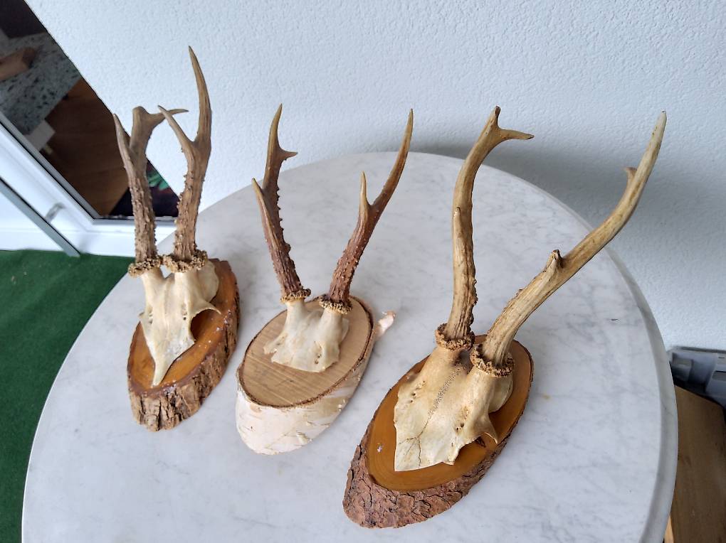 30 Weihnachtsserviettenringe Geweih-Design - Holz Serviettenringe Für Festliche Tischdeko