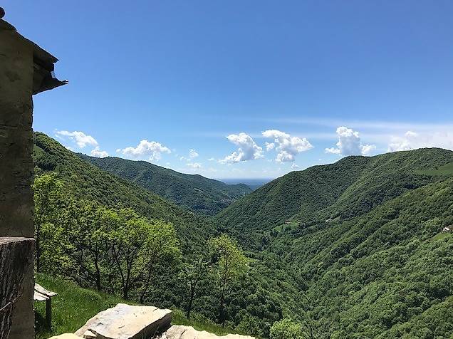 Immagine vuota