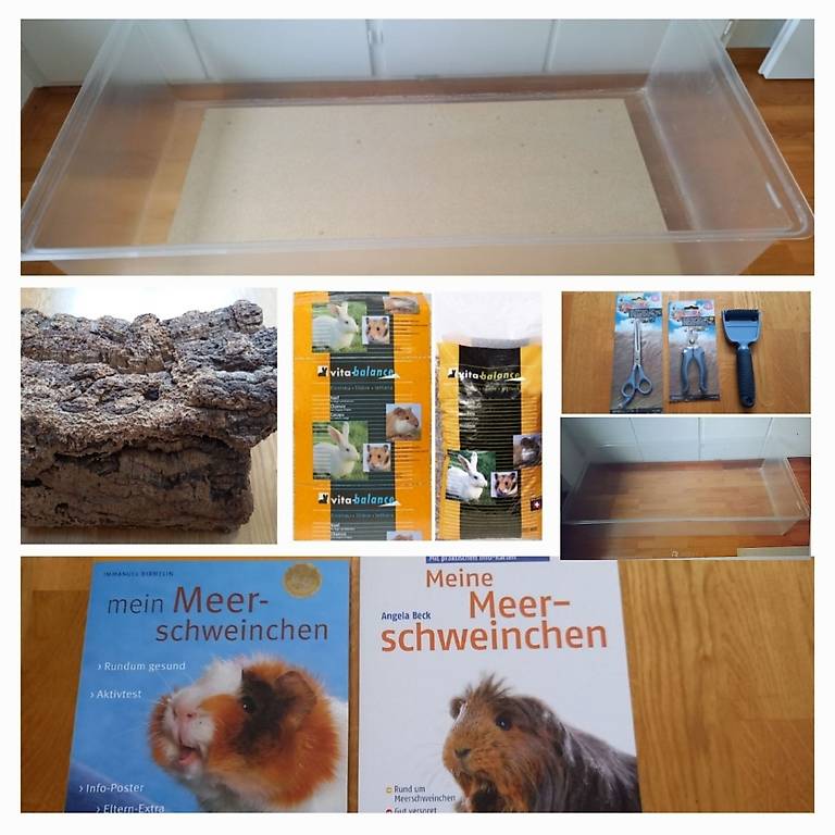 Erstaunlich Meerschweinchen Kfig Xxl Ebenbild