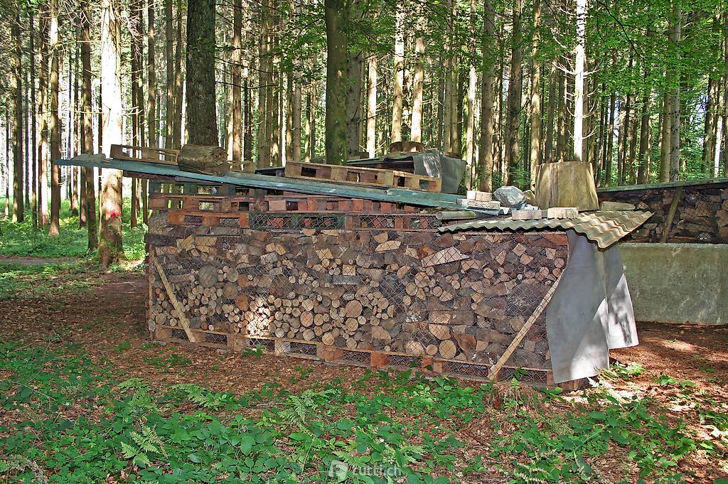 Brennholz Buche Esche Eiche 25cm bis 33cm