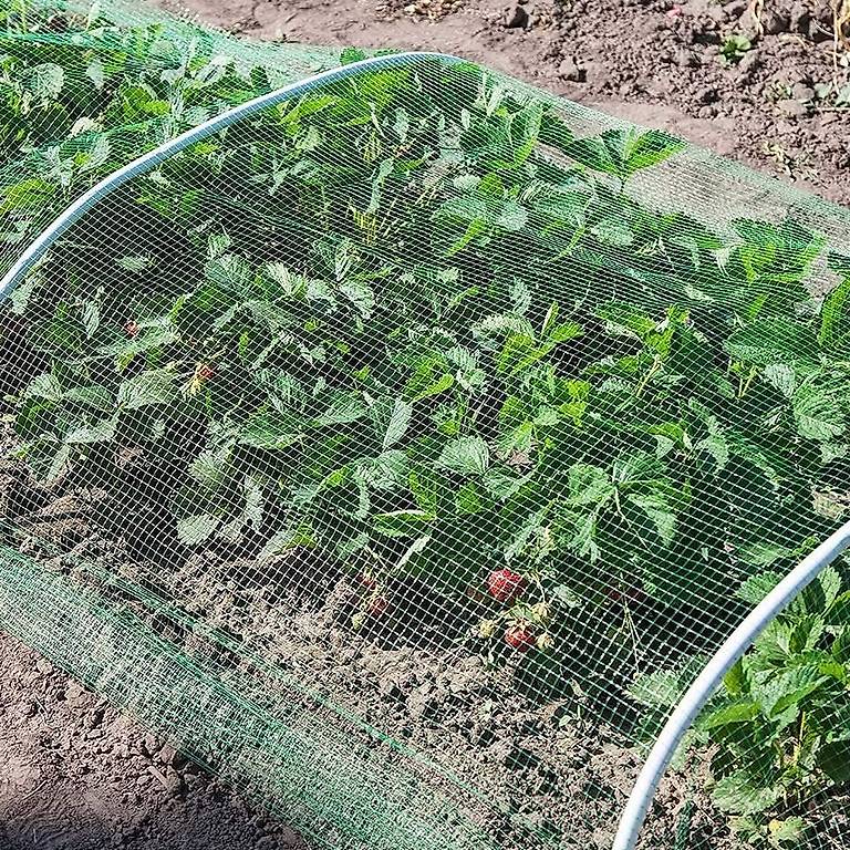 Portofrei Garten Vogel netz Laub Teich Schutz Balkon 4x15m im Kanton