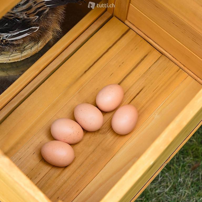  Hühnerstall Hühnerhaus mit Auslauf Geflügelstall mit Stange