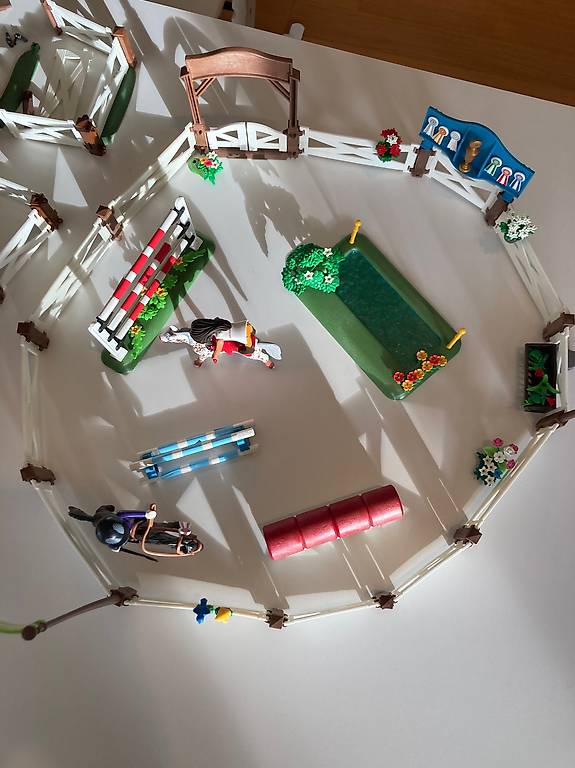  Playmobil Grosser Reiterhof mit viel Zubehör im Kanton Zürich - tutti.ch Motiv 