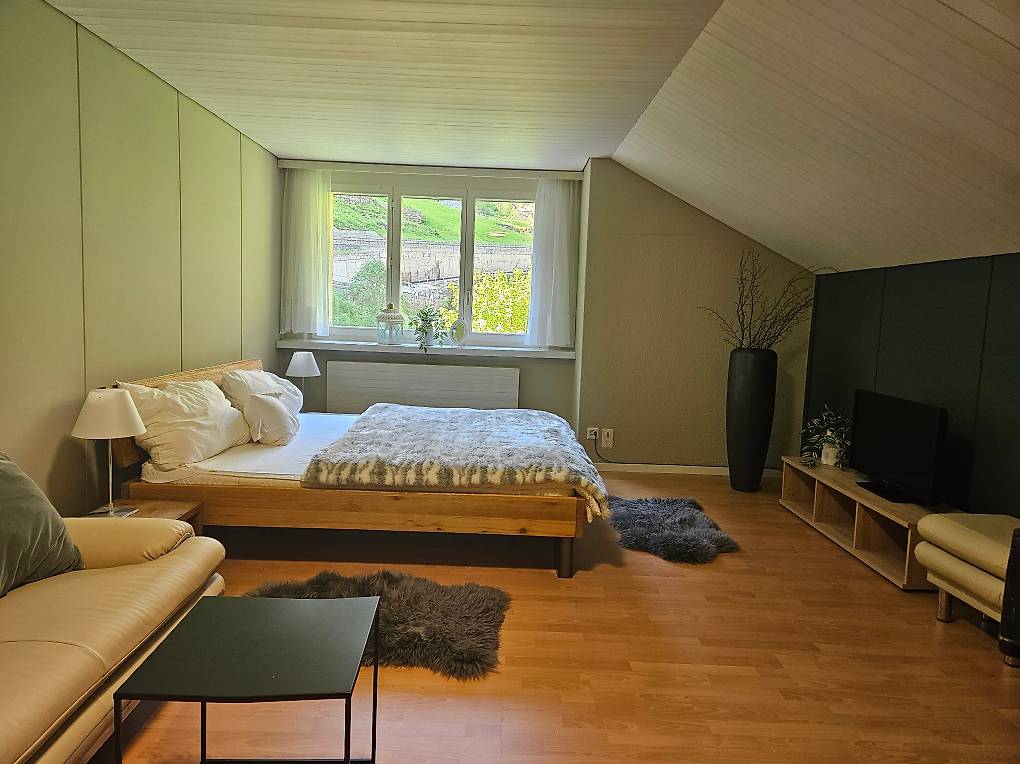 1,5 Zi Appartment, möbliert, mit Aussicht in Göschenen