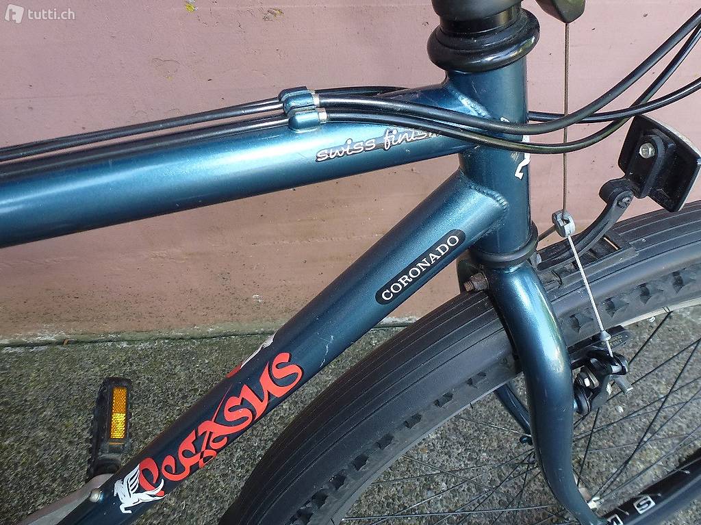 leichtes Bike (Coronado Pegasus )