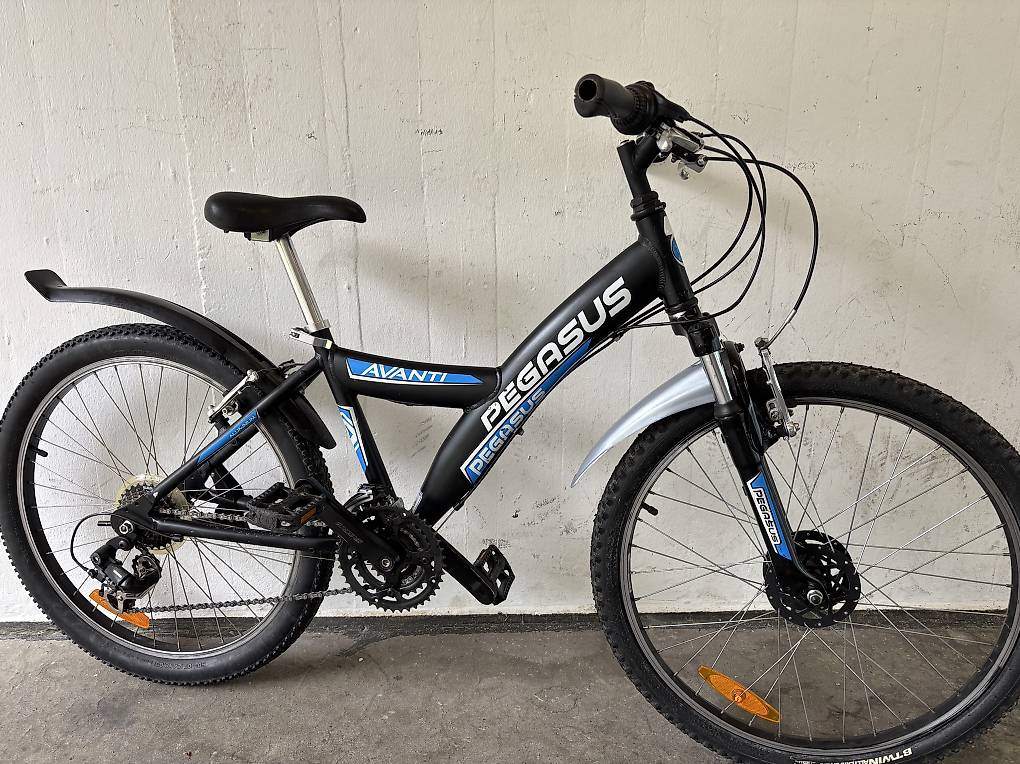 damen trek e bike 28" Damen E-Bike Trekking Fahrrad LUMINA GX3 BOSCH ACTIVE PLUS LINE 50
