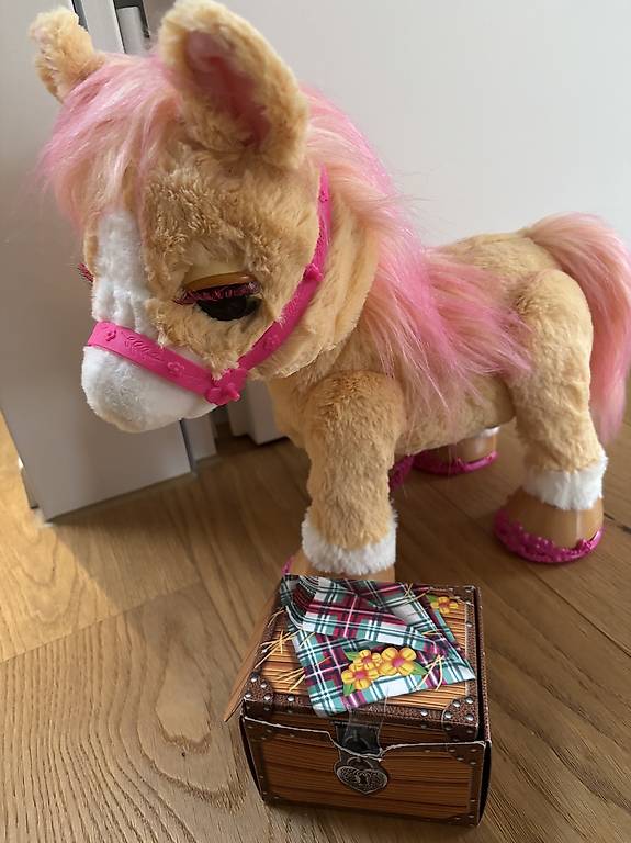 FurReal Pony im Kanton Aargau - tutti.ch