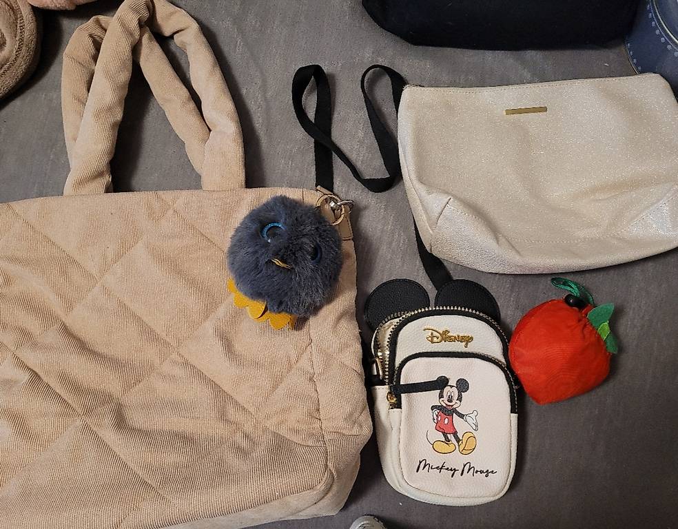 Diverse Damen Taschen im Kanton Aargau