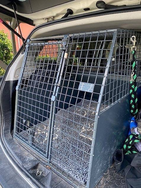 Hunde-Transportbox im Kanton Aargau