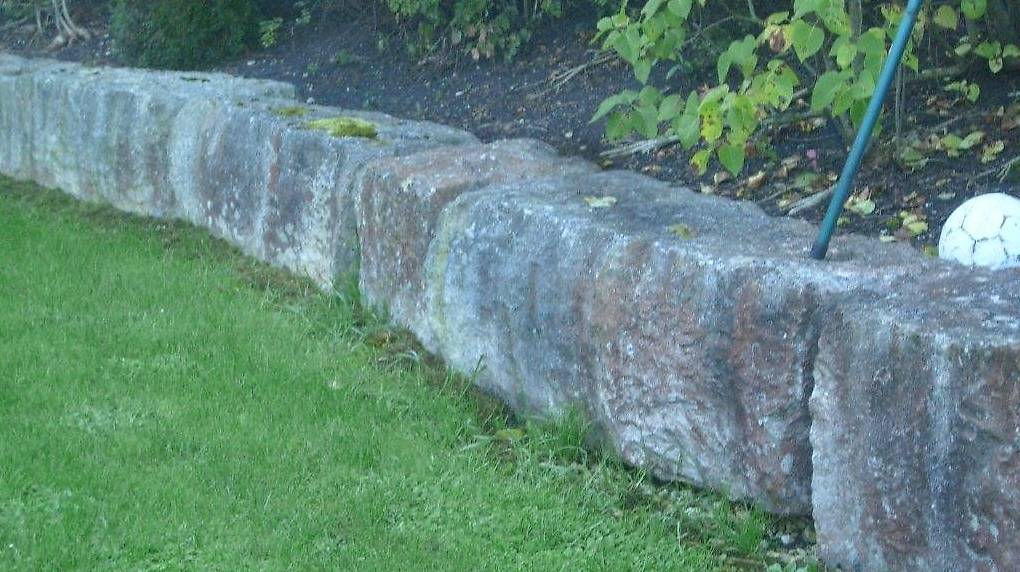 Biologische Reinigung Moos Algen Stein Kalkstein Sandstein im Kanton