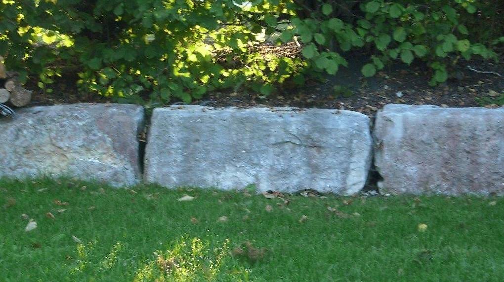 Biologische Reinigung Moos Algen Stein Kalkstein Sandstein im Kanton