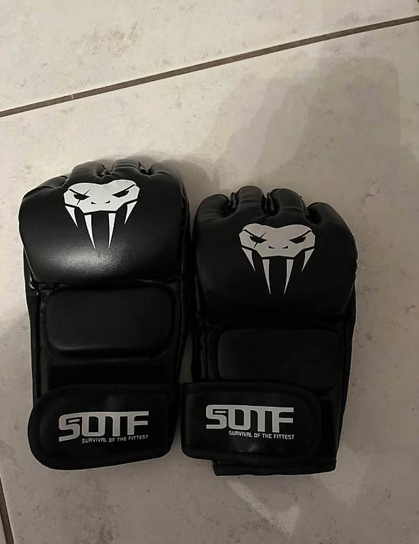 Boxhandschuhe im Kanton Aargau