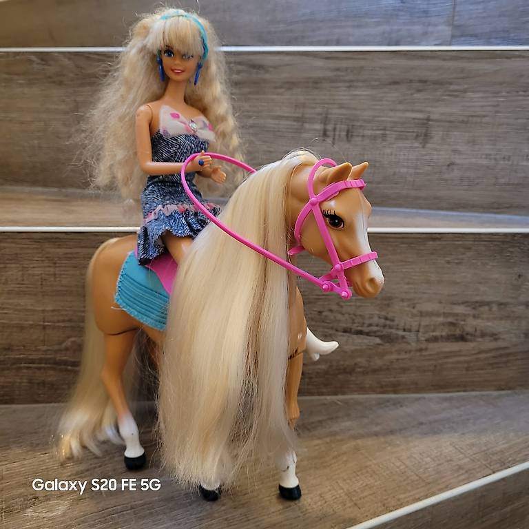 Barbie Pferd Traumpferd Tänzer im Kanton Solothurn