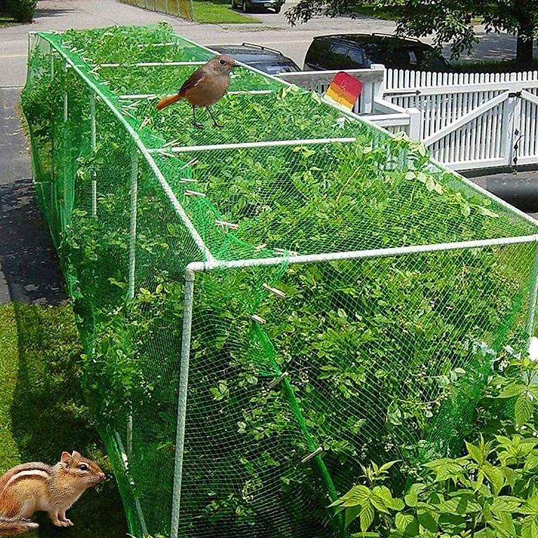 Portofrei Garten Vogel netz Laub Teich Schutz Balkon 2x6 m im Kanton