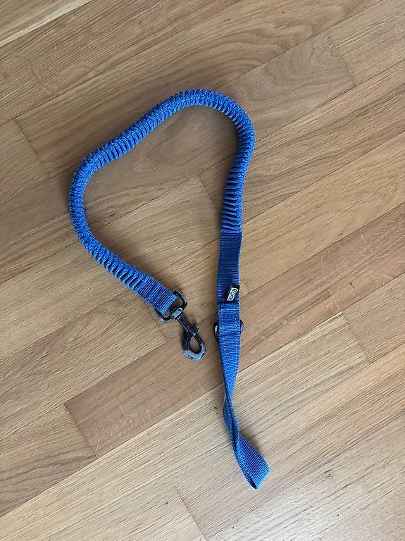 Romeo Flex Hundleine blau 80-150 cm