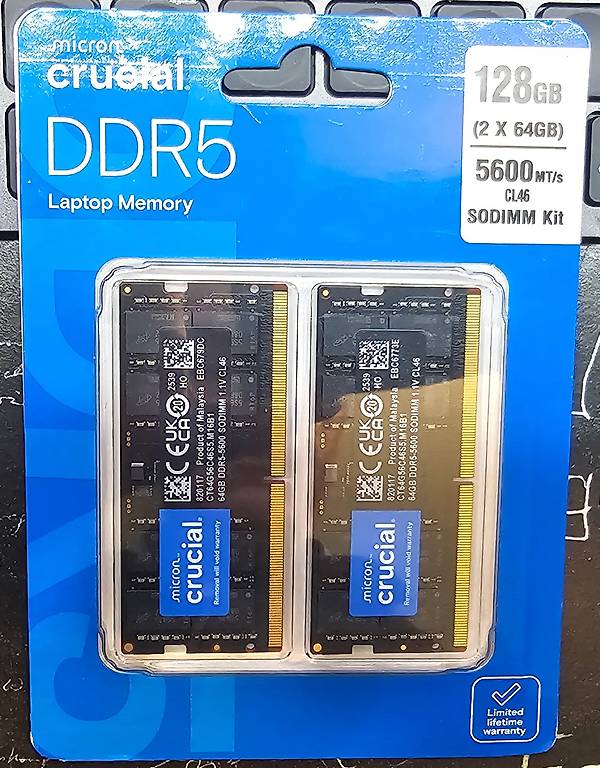 Crucial Pro DDR5 RAM 96GB Kit (2x48GB) 5600MHz im Kanton