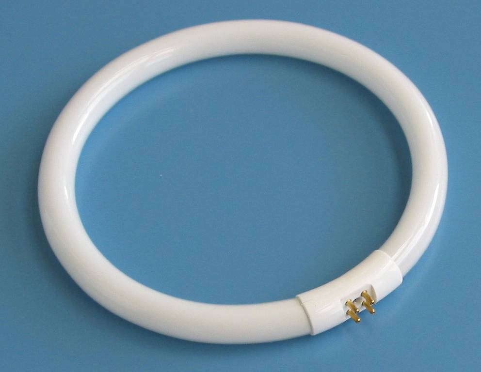 1 Leuchtstoffröhre T5 G10q 22 W Ringform NEU /OVP